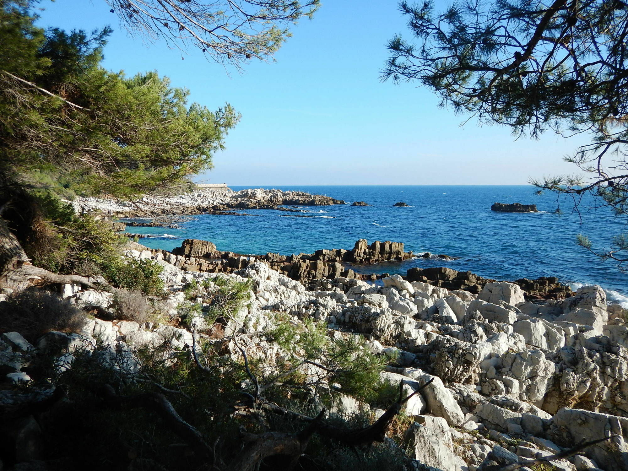 Hotel Miramar- Cap D'Antibes - La Garoupe Plage Zewnętrze zdjęcie